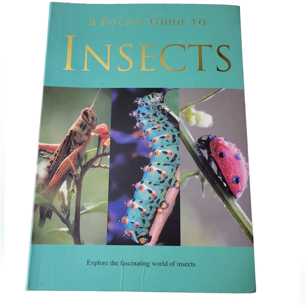 ⭐️ A Pocket Guide to Insects